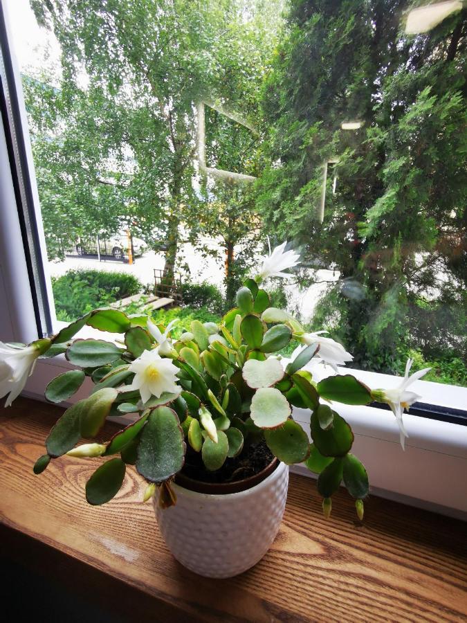 Apartament Przy Arsenale Wrocław Kültér fotó