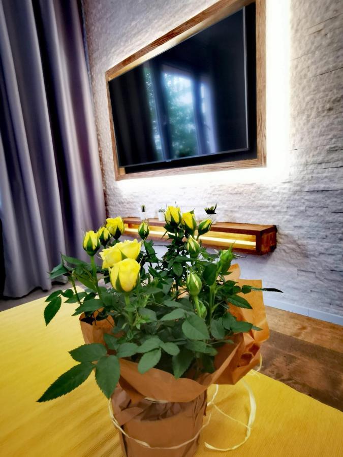 Apartament Przy Arsenale Wrocław Kültér fotó